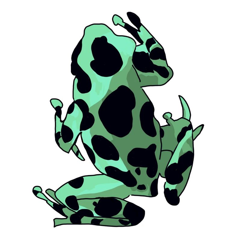 Frosch & Kröte
