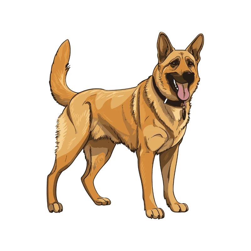 German Shepherd Dog