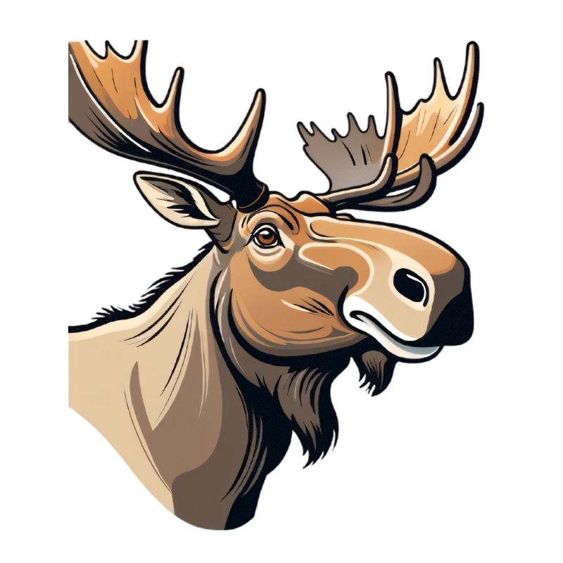 Expressive moose with characteristic look