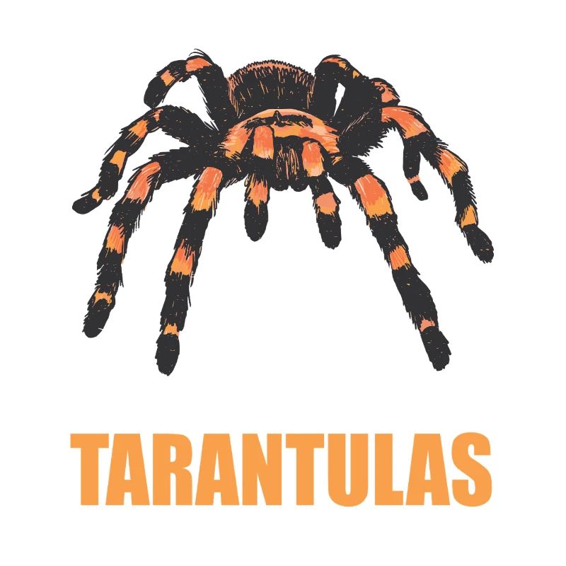 Tarentules Tarentule