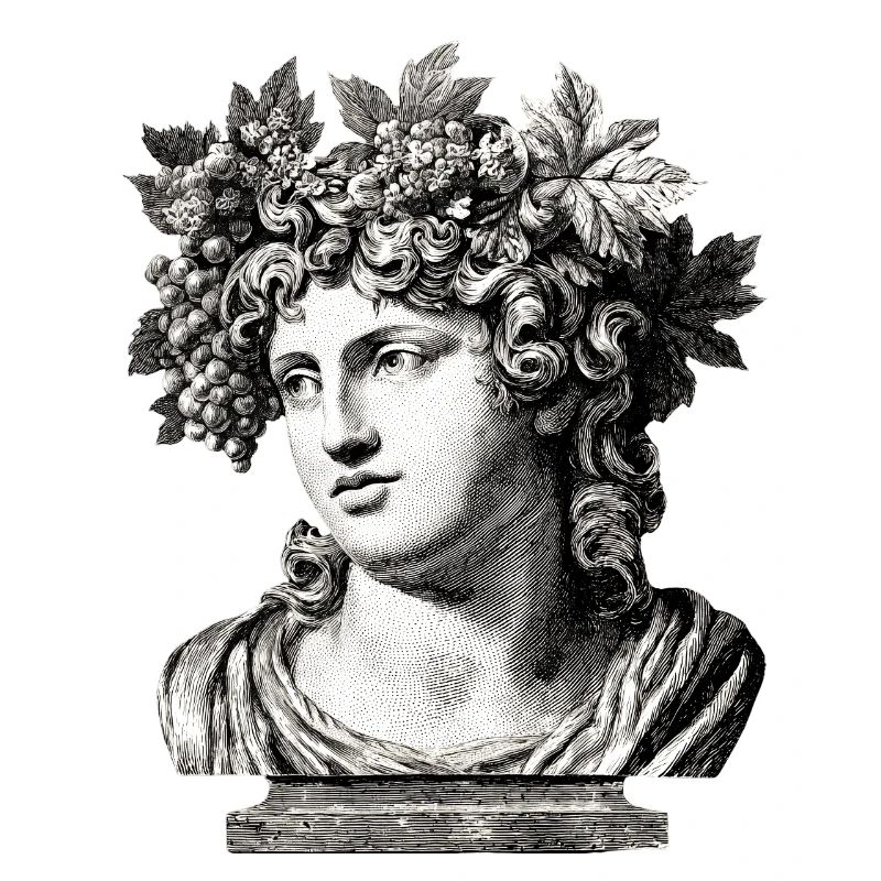 Buste antique Bacchus – Gravure classique