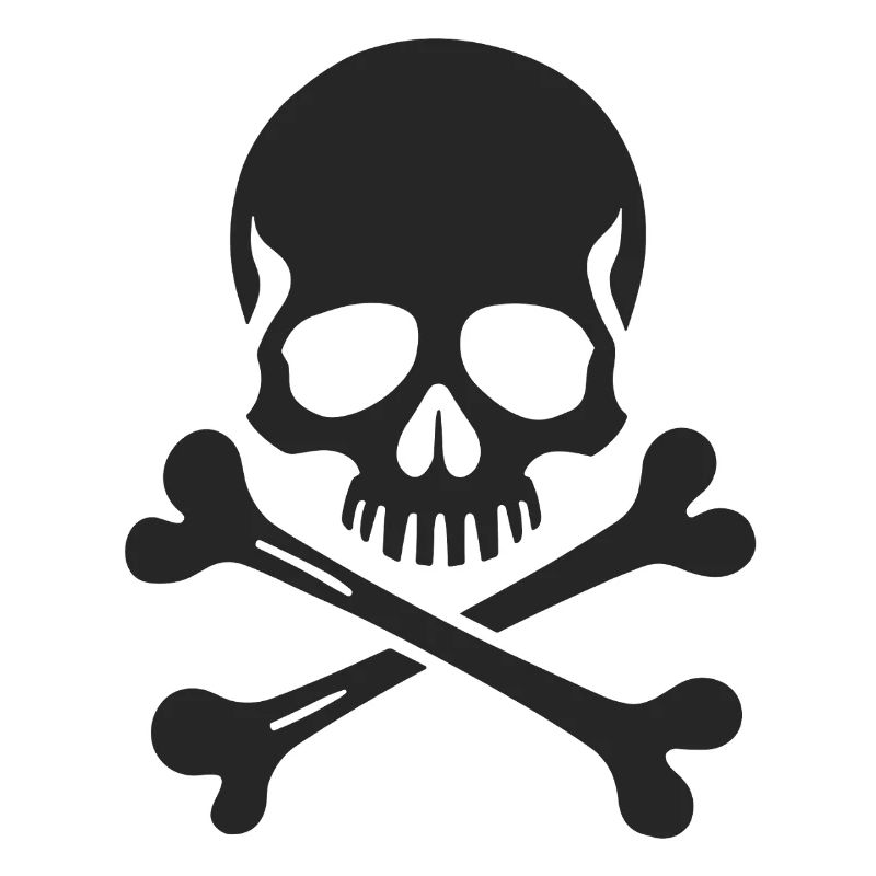 Crâne Jolly Roger classique