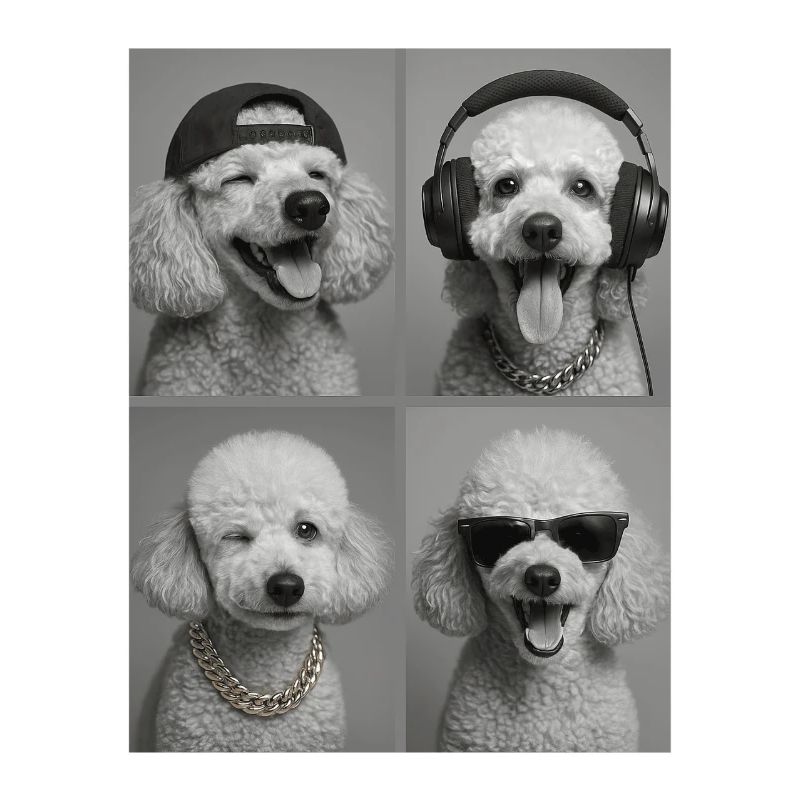 Caniche