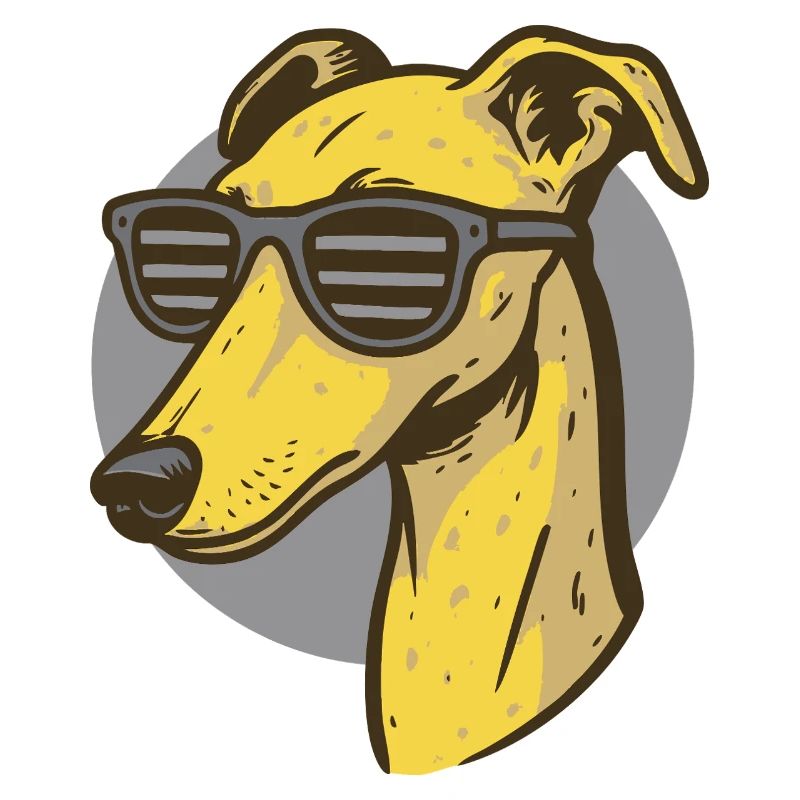 Lévrier, Galgo
