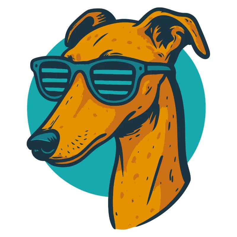Lévrier, Galgo