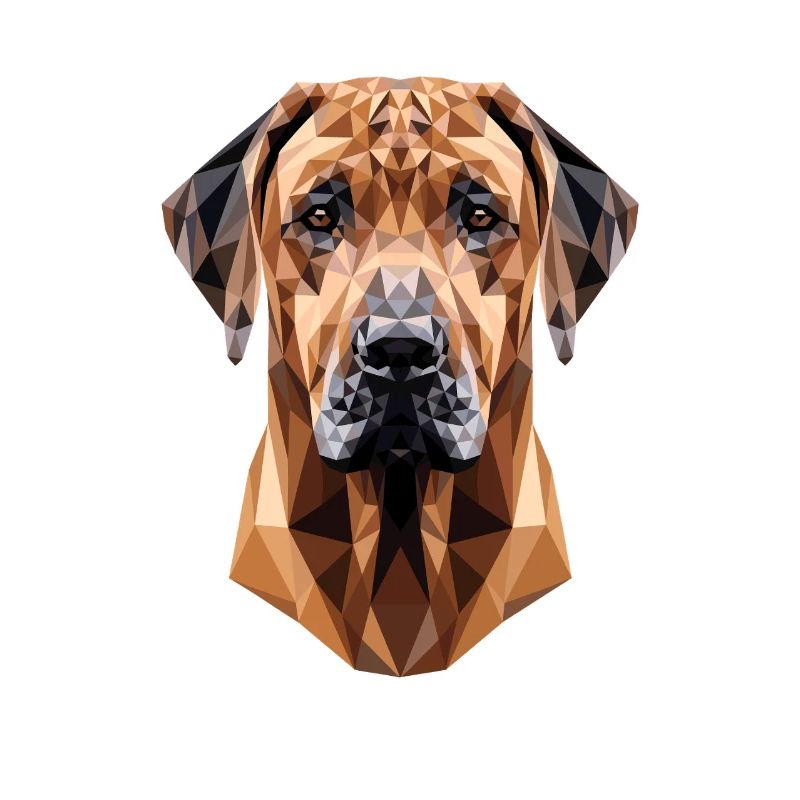 Rhodesian Ridgeback Jagdhund Hunde Stolz Ridgeback
