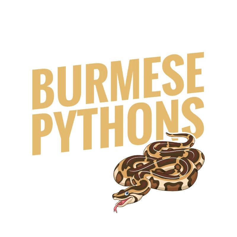 Python birman Stuff Reptile Foos Propriétaire de serpent