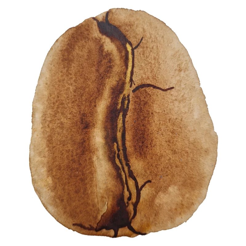Kaffeebohne Aquarell