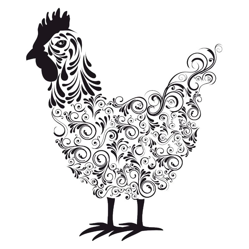 Fans de poulet - Coq - Coq - Poulet fleur - Bio