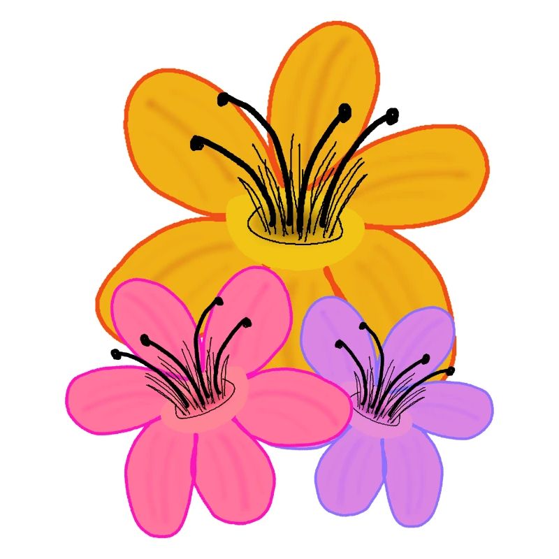 Sonner  Blumen Garten Blume Flora
