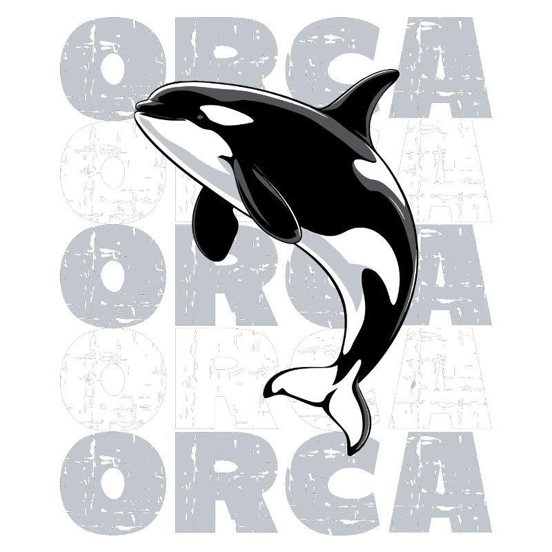  Orca Killerwal Ocean Meer Meeresleben Orca