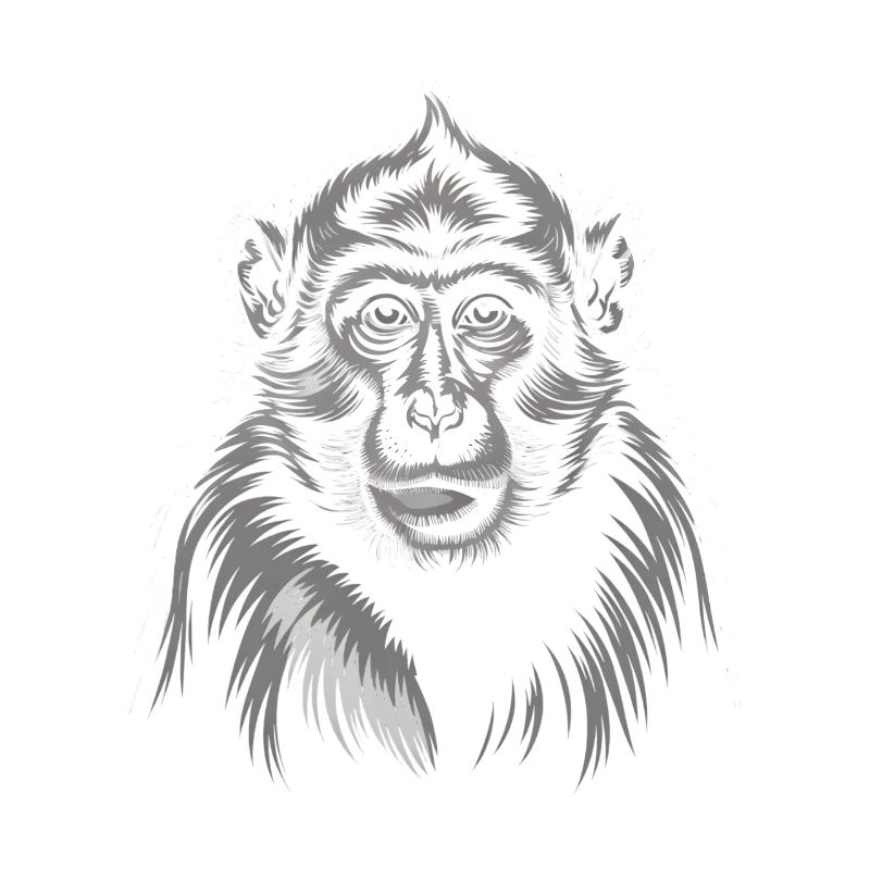 Singe Gris