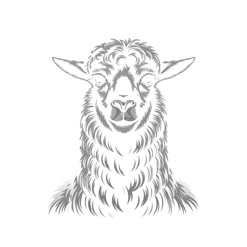 lama