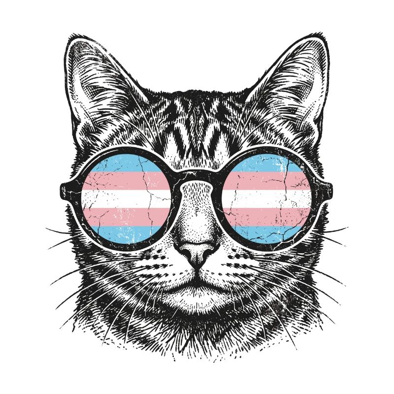 LGBT-Pride-Monat – Trans-Pride-Katze