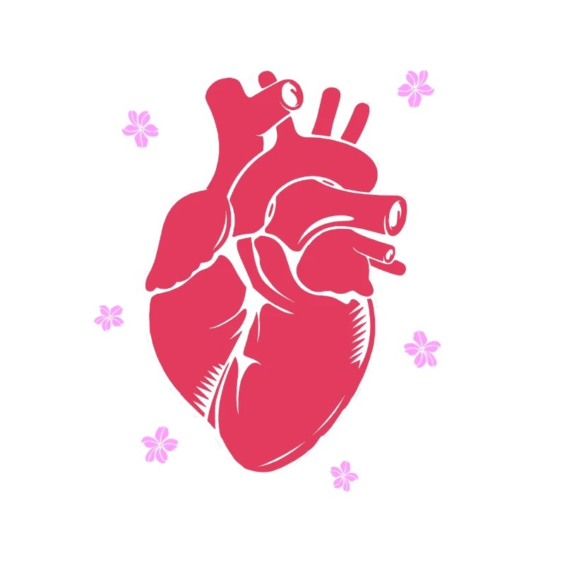Cardiogram, cardiography, sonography, ultrasound