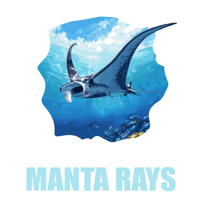 Rays Manta Rays