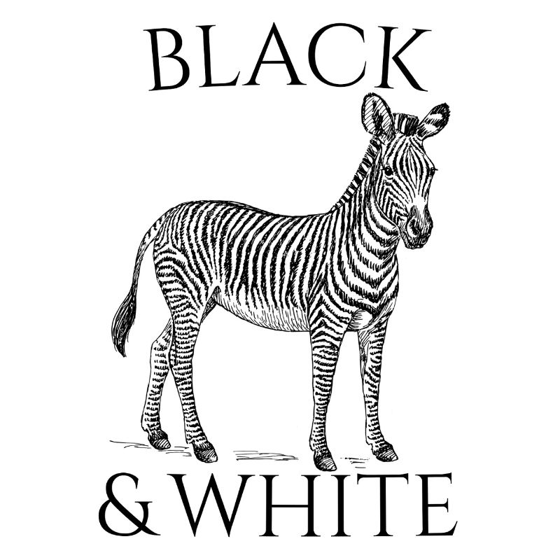 Black & White Vector Zebra – Tierdesign