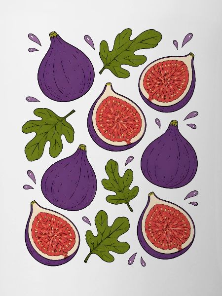 Feigen | Frucht Botanik & Mediterran