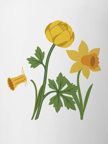 Blumen · Bunte Narzisse