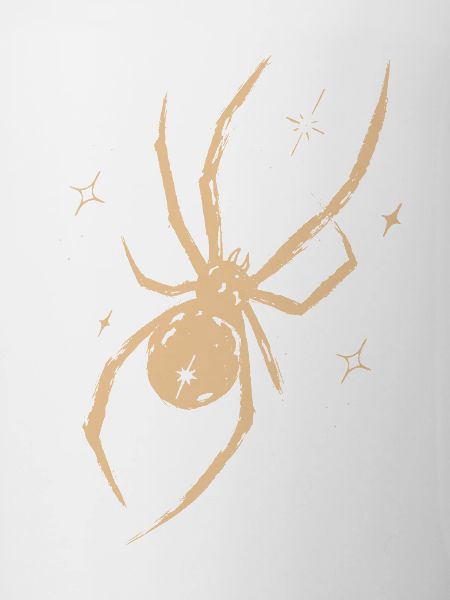 Spinne Celestial Natur