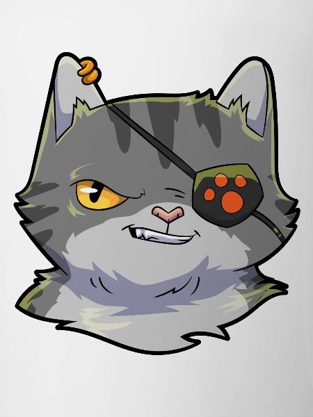 Katze Pirat