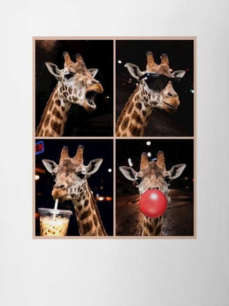 Giraffen Giraffe