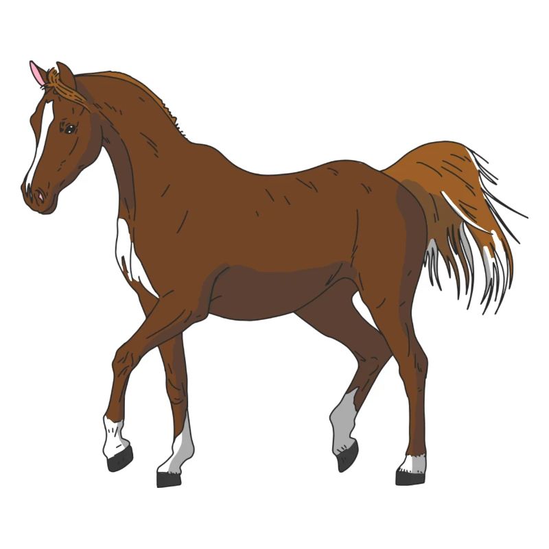 Pferd