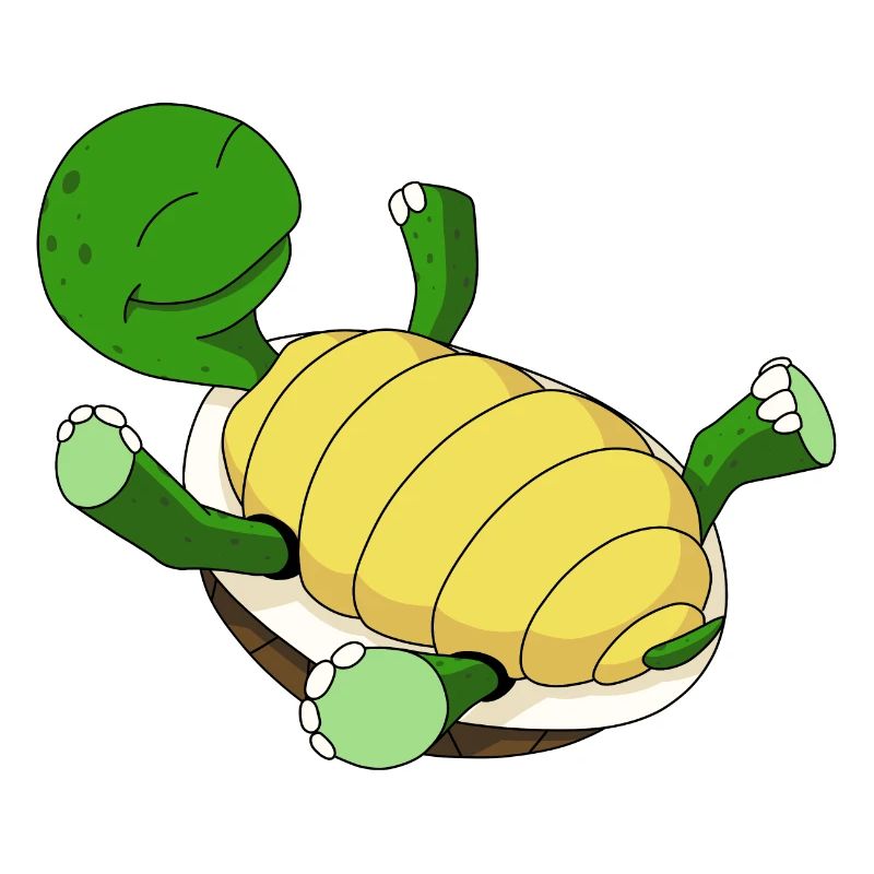 Tortue sur le dos