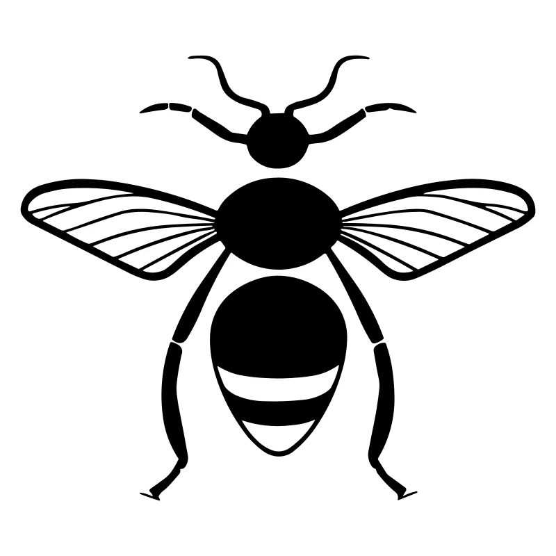 Insecte puce