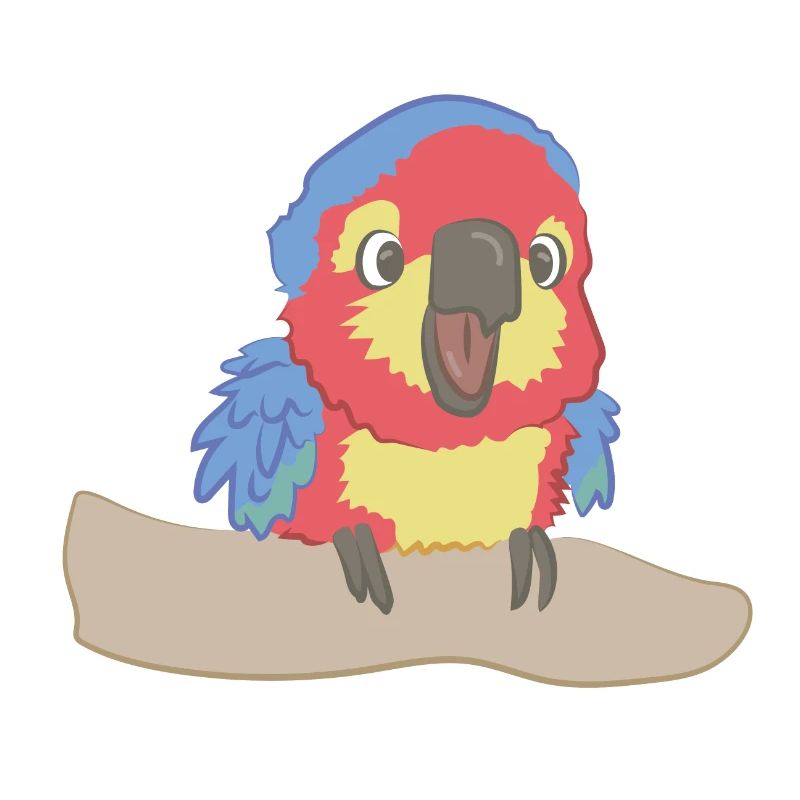 Perroquet effronté comme illustration