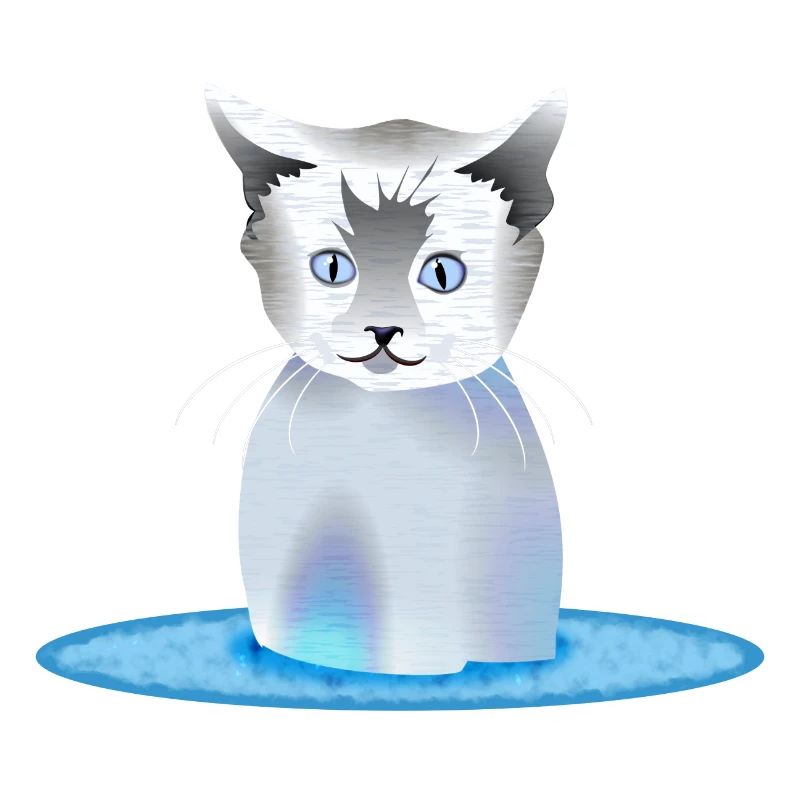 Chat