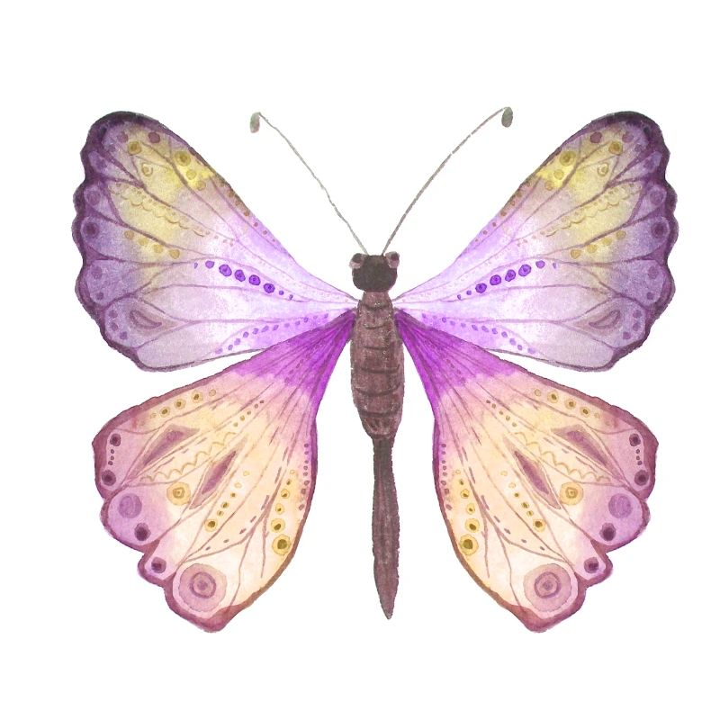 Butterfly Spring