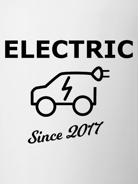 Voitures électriques 2017
