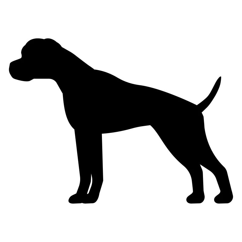 Boxer