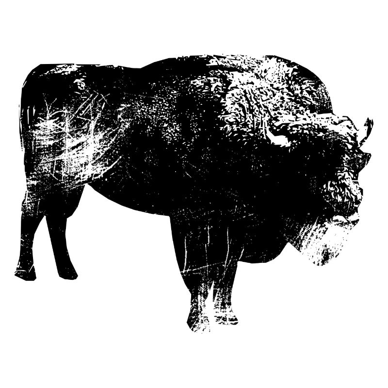 Beef Cow