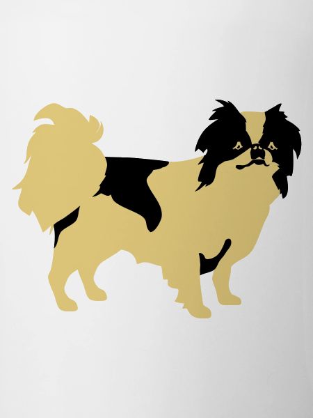 Japanese Chin