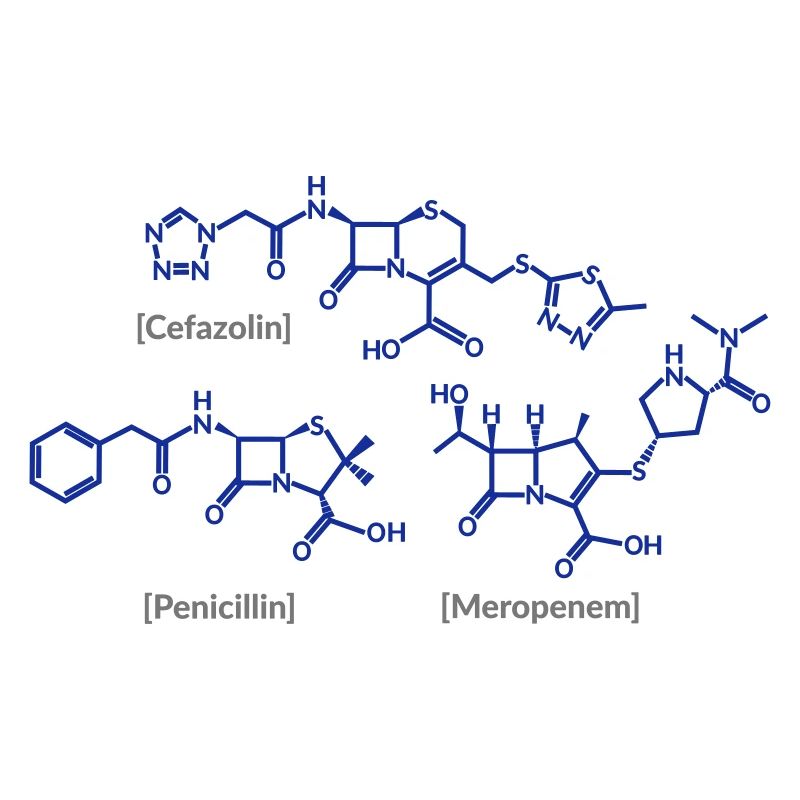 Beta Lactam Antibiotics