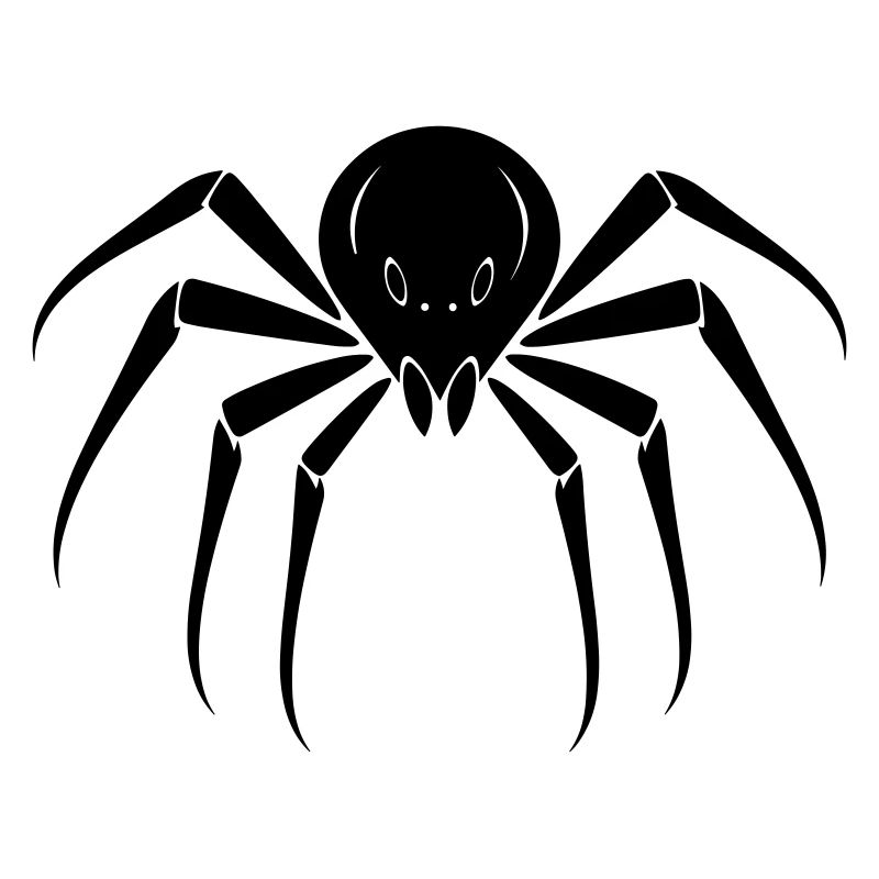Spinne