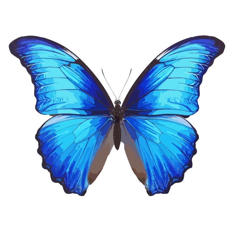 Morpho Papillon Bleu