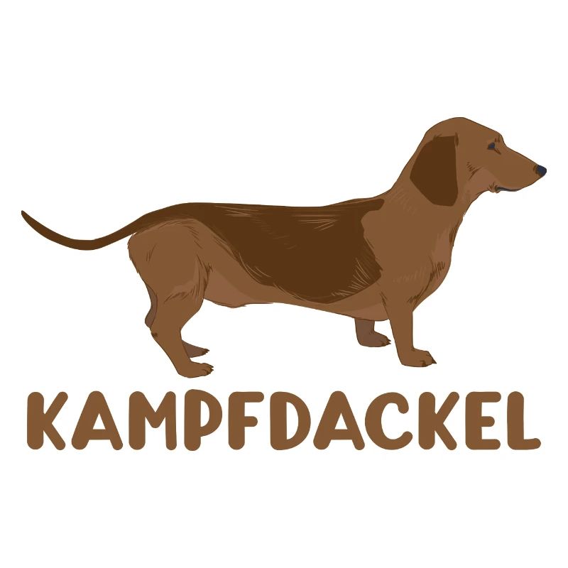 Teckel de combat drôle chien teckel