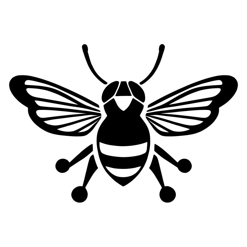 Cicada