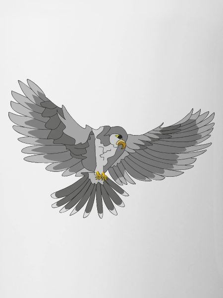 Greifvogel