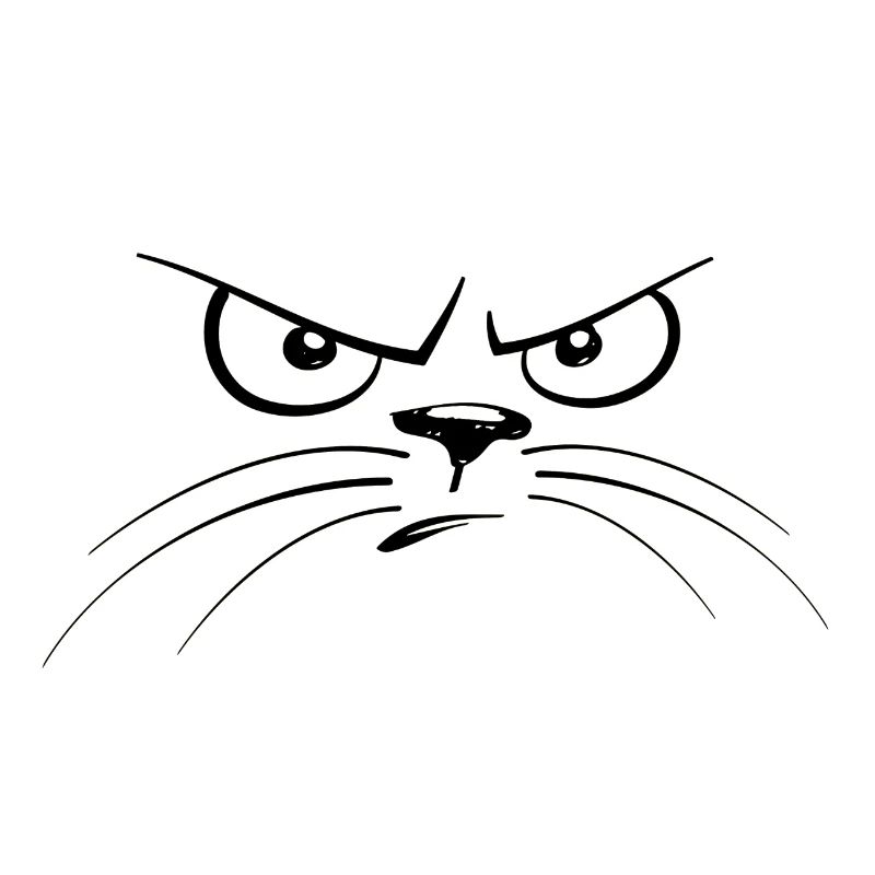 Grumpy cat