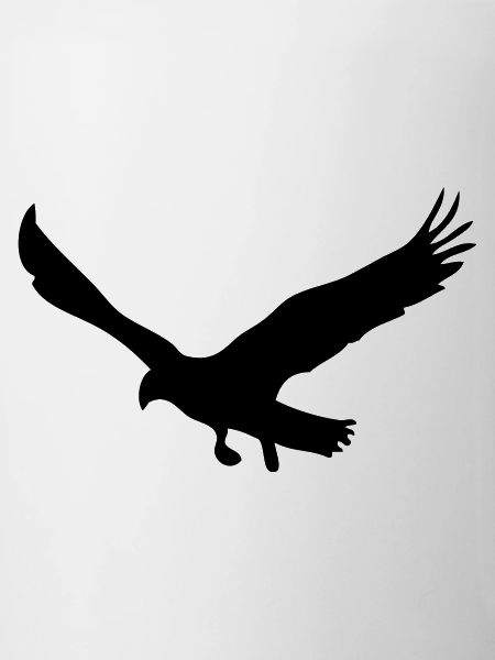 aigle