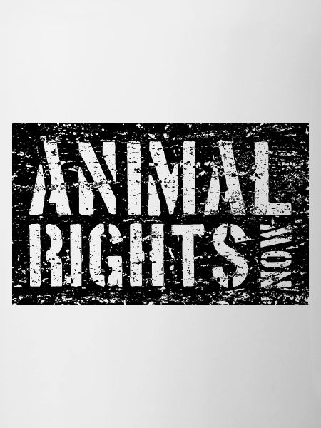 ANIMAL RIGHTS NOW VEGAN