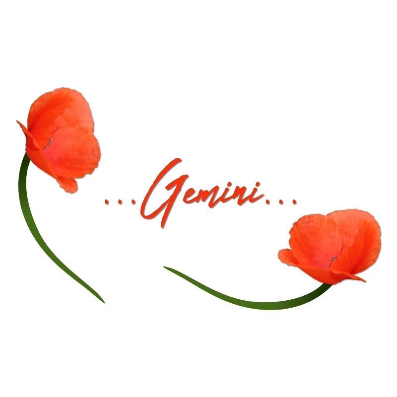 Zwillinge Mohn Klatschmohn Sternzeichen Zwillinge