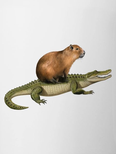 Capybara Alligator