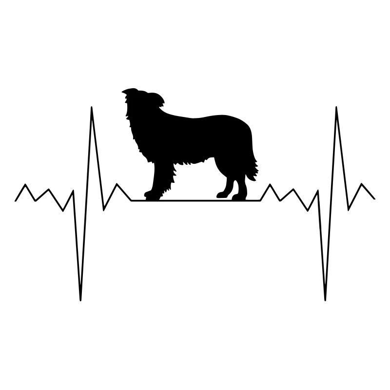 Rythme cardiaque, frontière, colley