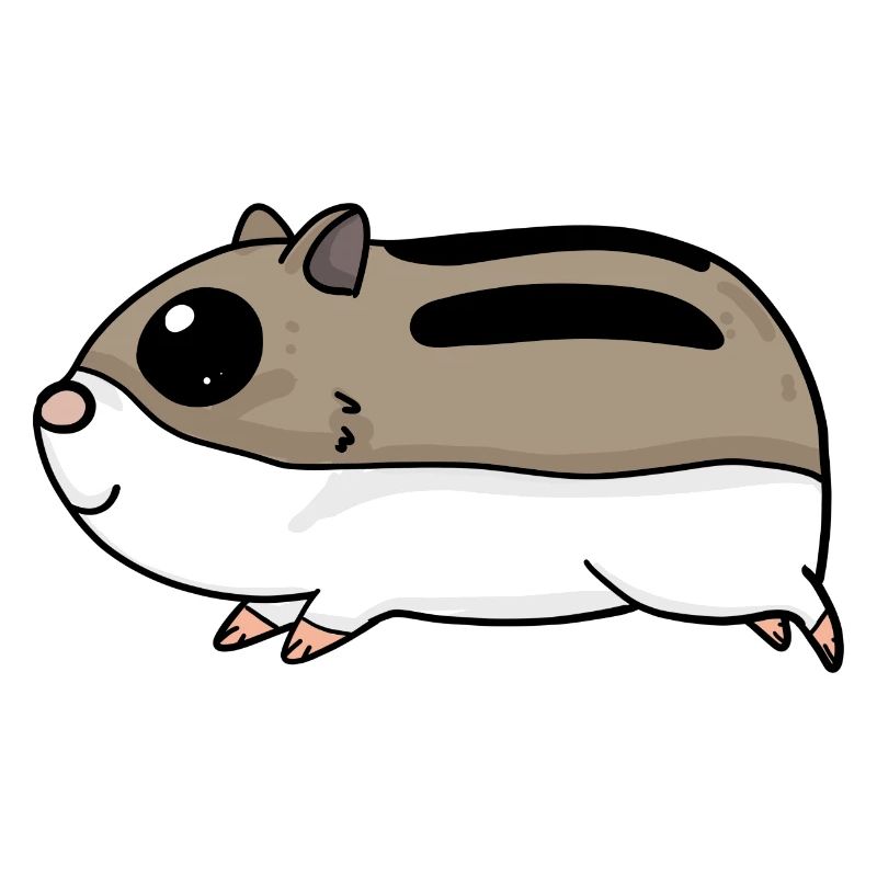 Rongeurs hamsters