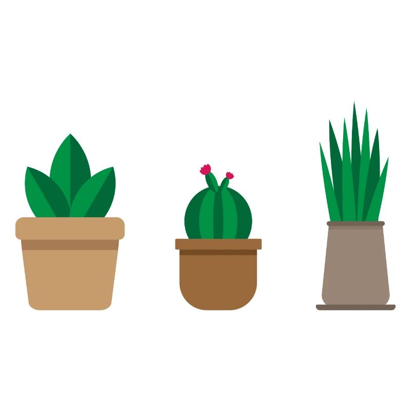 Cadeau de cactus design plat minimal cactus